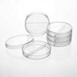 2 Compartment Petri Dish 19x15mm