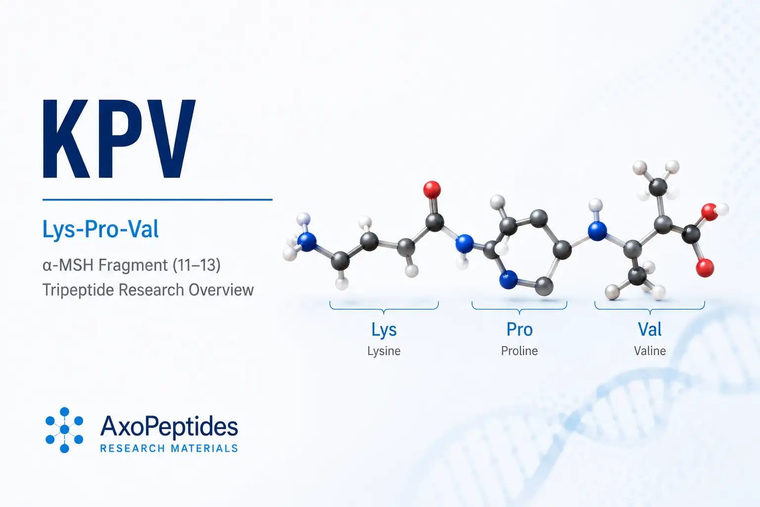 KPV peptide research overview showing Lys-Pro-Val tripeptide structure, alpha-MSH fragment origin and laboratory research