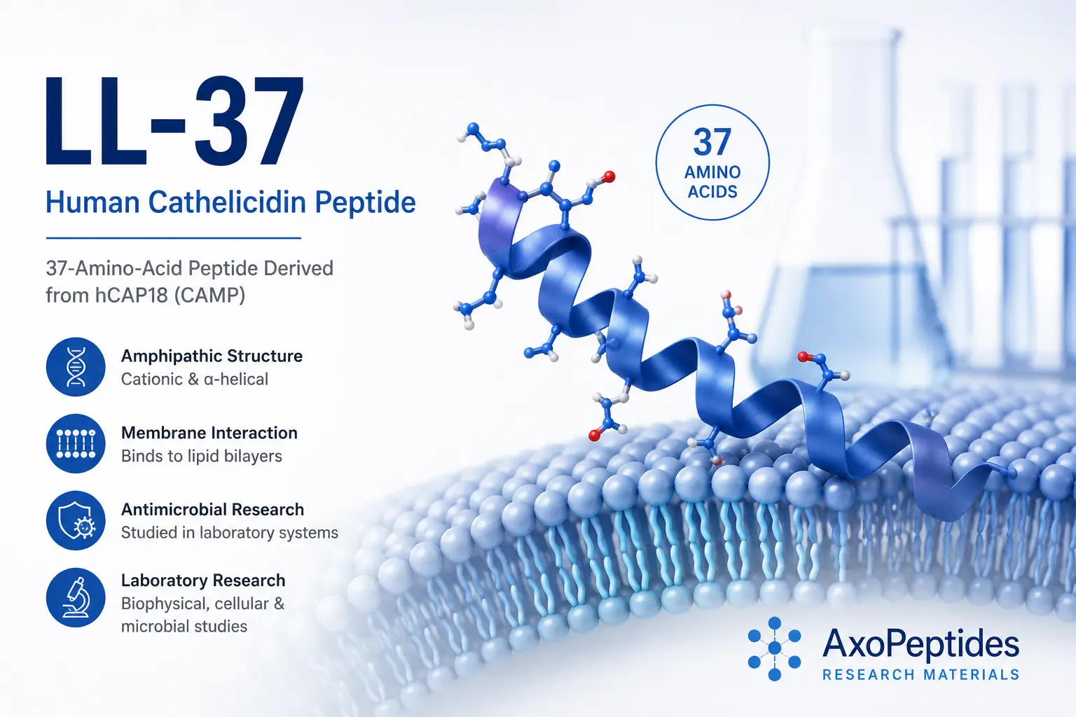 LL-37 research overview showing human cathelicidin structure, 37-amino-acid peptide, membrane interaction and laboratory research