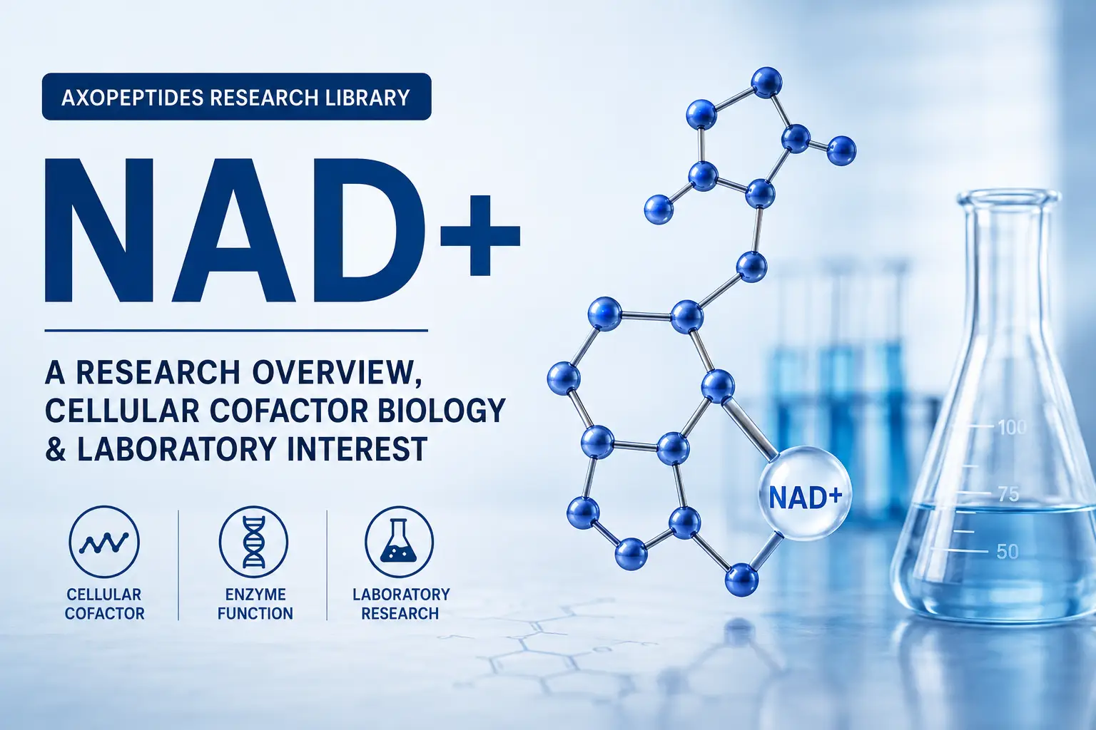 NAD+ research overview showing molecular structure and laboratory research