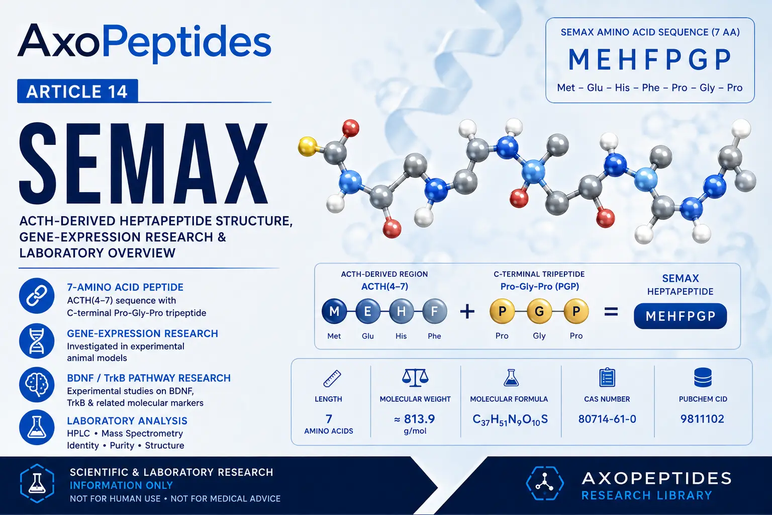 Semax research overview showing ACTH-derived heptapeptide structure, MEHFPGP sequence, gene-expression research and laboratory analysis